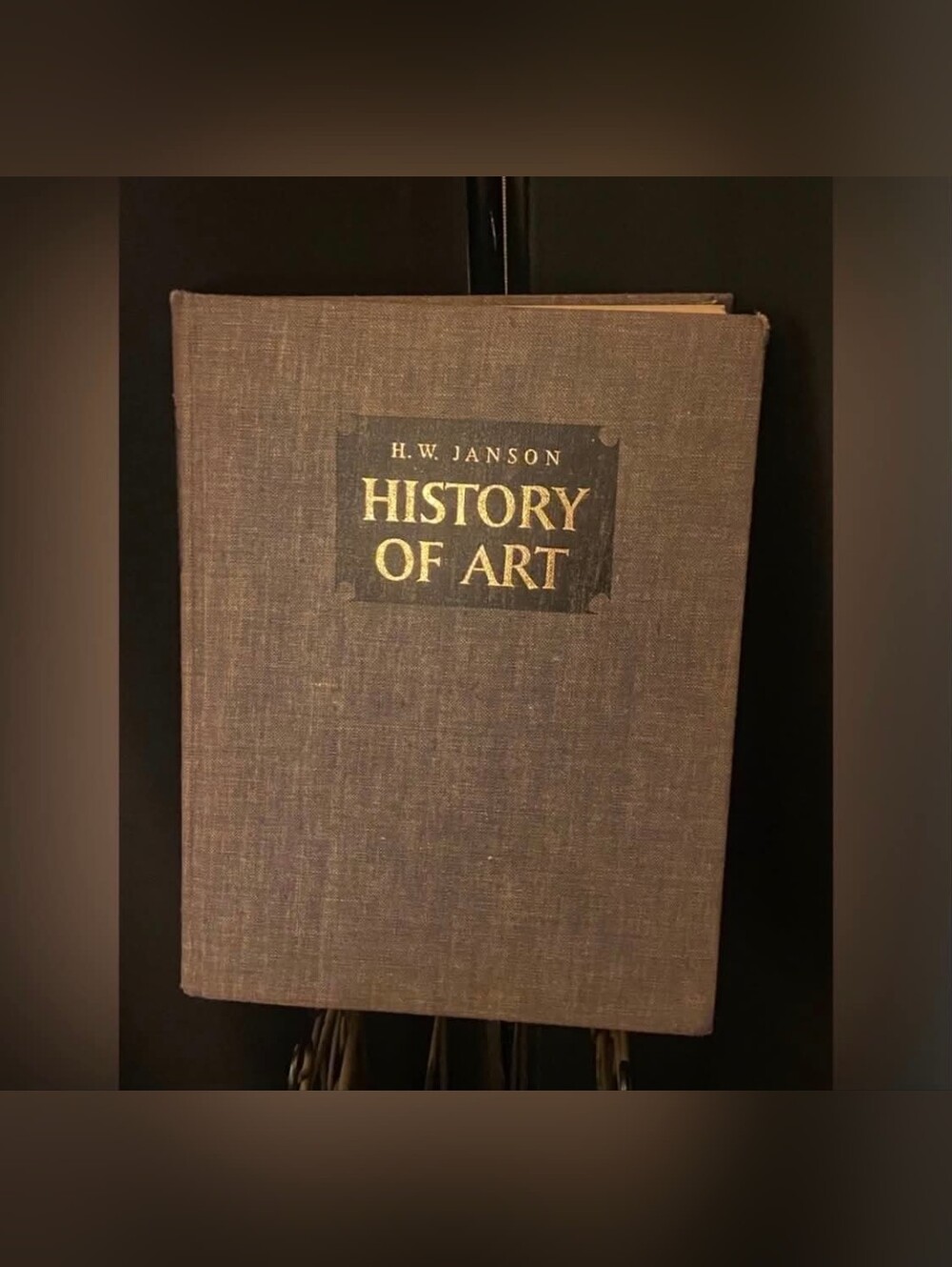 H.W. Janson History Of Art Large Heavy Book